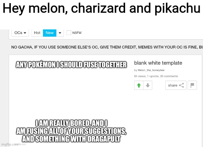 That's my request | Hey melon, charizard and pikachu | image tagged in e | made w/ Imgflip meme maker