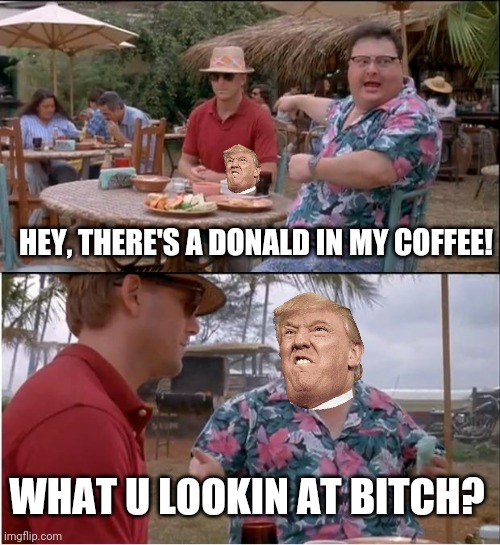 Trump coffee | HEY, THERE'S A DONALD IN MY COFFEE! WHAT U LOOKIN AT BITCH? | image tagged in memes,see nobody cares | made w/ Imgflip meme maker
