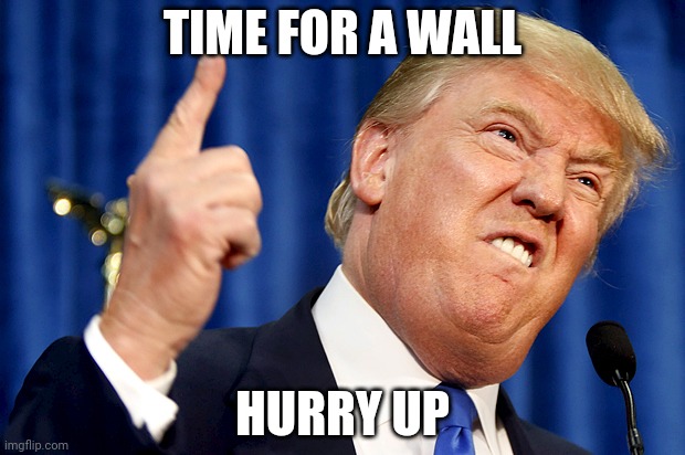 Donald mad | TIME FOR A WALL; HURRY UP | image tagged in donald trump | made w/ Imgflip meme maker