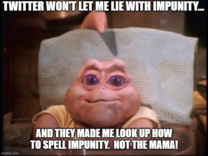 not the mama | TWITTER WON'T LET ME LIE WITH IMPUNITY... AND THEY MADE ME LOOK UP HOW TO SPELL IMPUNITY.  NOT THE MAMA! | image tagged in not the mama | made w/ Imgflip meme maker