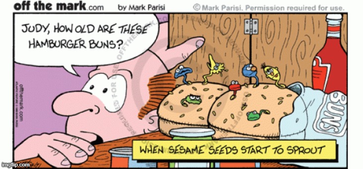 When sesame seeds start to sprout...(can you spot any sesame street characters you recognize?) | image tagged in off the mark,sesame street,sesame seed,hamburger,too funny | made w/ Imgflip meme maker