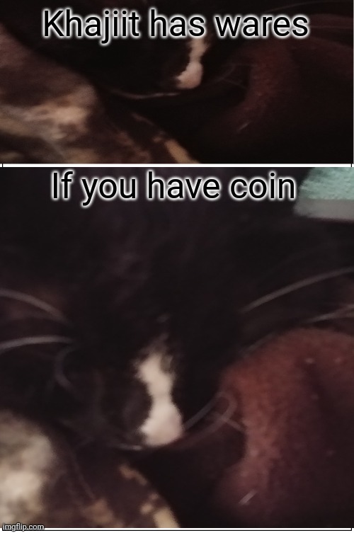 Made this with my shady burrito under my bed | Khajiit has wares; If you have coin | image tagged in skyrim | made w/ Imgflip meme maker