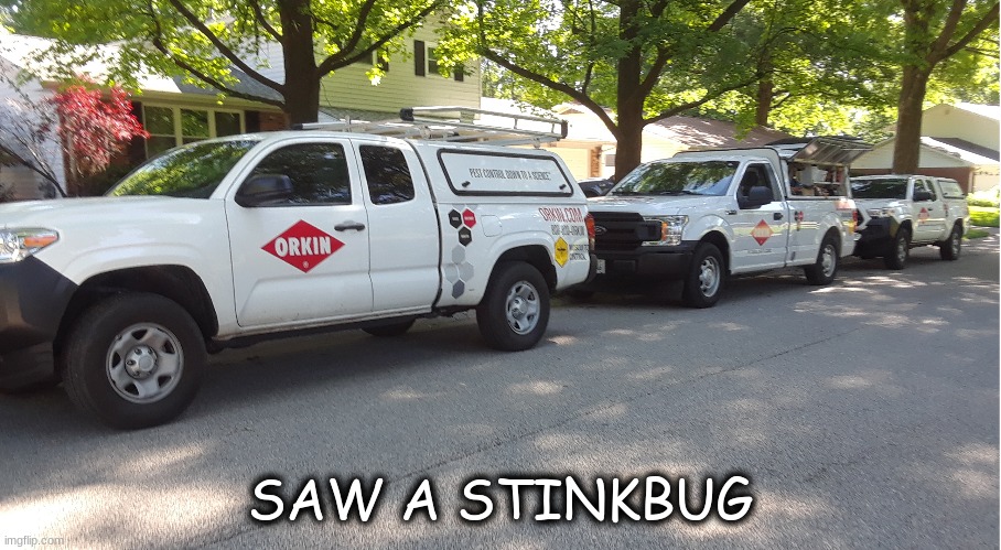 Bug Cops! | SAW A STINKBUG | image tagged in reaction,overact | made w/ Imgflip meme maker