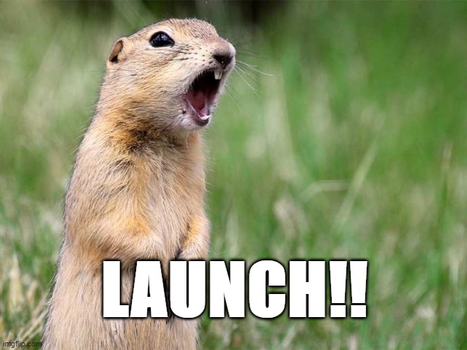 gopher launch | LAUNCH!! | image tagged in gopher | made w/ Imgflip meme maker