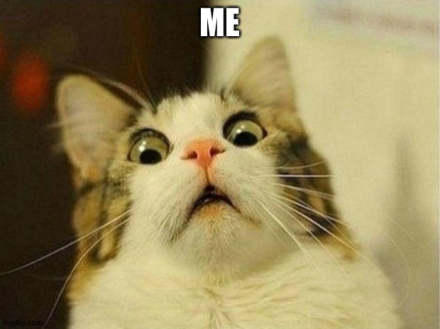 Scared Cat Meme | ME | image tagged in memes,scared cat | made w/ Imgflip meme maker