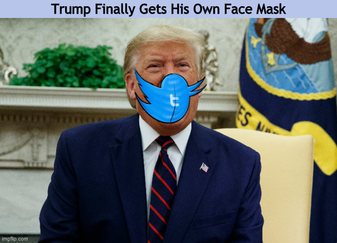 Trump Finally Gets His Own Face Mask | image tagged in donald trump,trump,twitter,twitter bird,memes,mask,PoliticalHumor | made w/ Imgflip meme maker