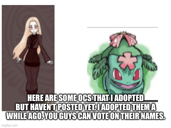 Blank White Template | HERE ARE SOME OCS THAT I ADOPTED BUT HAVEN’T POSTED YET. I ADOPTED THEM A WHILE AGO. YOU GUYS CAN VOTE ON THEIR NAMES. | image tagged in blank white template | made w/ Imgflip meme maker