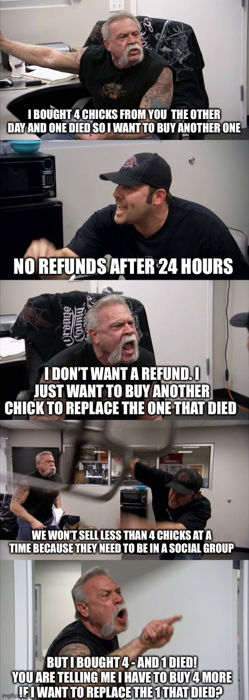 American Chopper Argument | I BOUGHT 4 CHICKS FROM YOU  THE OTHER DAY AND ONE DIED SO I WANT TO BUY ANOTHER ONE; NO REFUNDS AFTER 24 HOURS; I DON’T WANT A REFUND. I JUST WANT TO BUY ANOTHER CHICK TO REPLACE THE ONE THAT DIED; WE WON’T SELL LESS THAN 4 CHICKS AT A TIME BECAUSE THEY NEED TO BE IN A SOCIAL GROUP; BUT I BOUGHT 4 - AND 1 DIED! YOU ARE TELLING ME I HAVE TO BUY 4 MORE IF I WANT TO REPLACE THE 1 THAT DIED? | image tagged in memes,american chopper argument | made w/ Imgflip meme maker