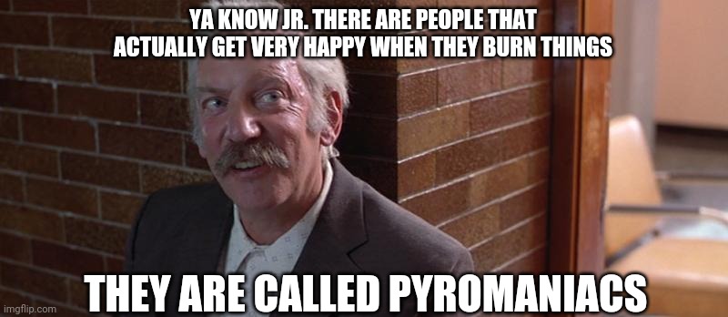 YA KNOW JR. THERE ARE PEOPLE THAT ACTUALLY GET VERY HAPPY WHEN THEY BURN THINGS THEY ARE CALLED PYROMANIACS | made w/ Imgflip meme maker