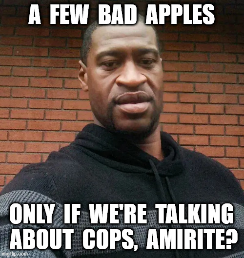 A  FEW  BAD  APPLES ONLY  IF  WE'RE  TALKING  ABOUT  COPS,  AMIRITE? | made w/ Imgflip meme maker