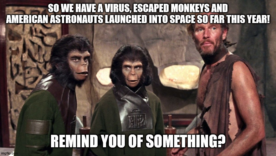 Planet of the apes prediction! | SO WE HAVE A VIRUS, ESCAPED MONKEYS AND AMERICAN ASTRONAUTS LAUNCHED INTO SPACE SO FAR THIS YEAR! REMIND YOU OF SOMETHING? | image tagged in planet of the apes,coronavirus,astronaut,prediction,classic movies | made w/ Imgflip meme maker