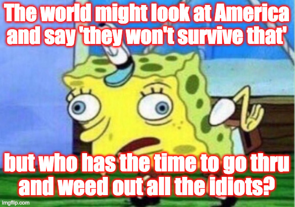 Mocking Spongebob Meme | The world might look at America and say 'they won't survive that' but who has the time to go thru
and weed out all the idiots? | image tagged in memes,mocking spongebob | made w/ Imgflip meme maker
