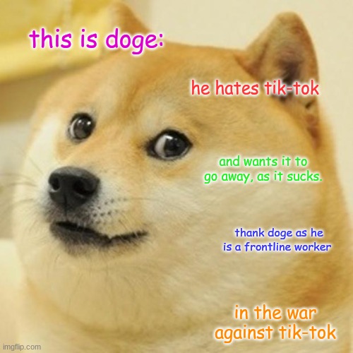 This is Doge. He hates tik-tok and wants it to go away, as it sucks. Thank Doge, as he is a frontline worker in the war against  | this is doge:; he hates tik-tok; and wants it to go away, as it sucks. thank doge as he is a frontline worker; in the war against tik-tok | image tagged in memes,doge | made w/ Imgflip meme maker