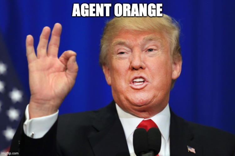 Agent Orange | AGENT ORANGE | image tagged in the best trump,agent orange,anti-sniffy,no to commo | made w/ Imgflip meme maker