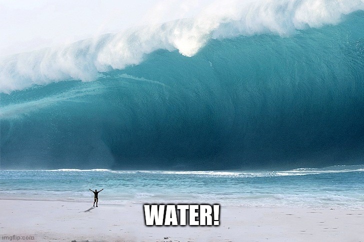 Tsunami Incoming | WATER! | image tagged in tsunami incoming | made w/ Imgflip meme maker