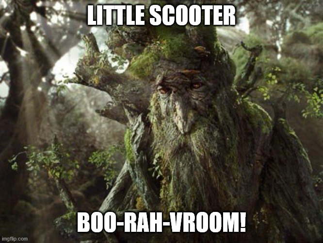 Treebeard Meme | LITTLE SCOOTER BOO-RAH-VROOM! | image tagged in treebeard meme | made w/ Imgflip meme maker