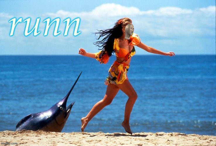 Runn | image tagged in dannii runn,day at the beach,beach,fish,run,danger | made w/ Imgflip meme maker