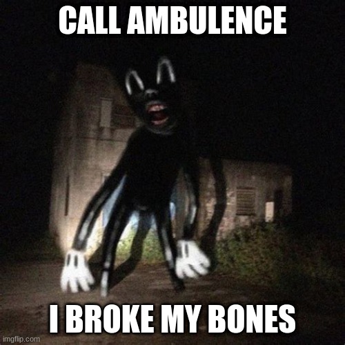 cc broke his bones | CALL AMBULENCE; I BROKE MY BONES | image tagged in wavy cartoon cat | made w/ Imgflip meme maker