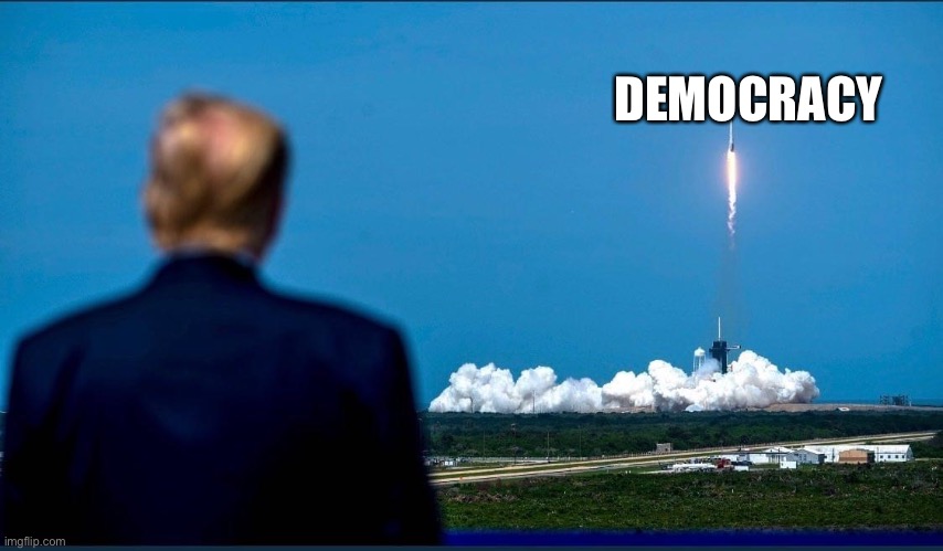 Hail Trump | DEMOCRACY | image tagged in donald trump,democracy | made w/ Imgflip meme maker