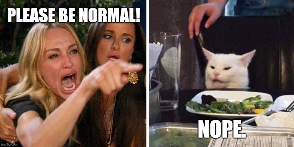 Be Normal, Smudge! | PLEASE BE NORMAL! NOPE. | image tagged in smudge the cat,memes,woman yelling at cat | made w/ Imgflip meme maker
