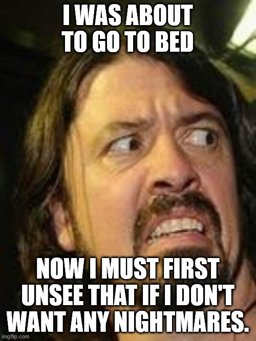 Yuck | I WAS ABOUT TO GO TO BED NOW I MUST FIRST UNSEE THAT IF I DON'T WANT ANY NIGHTMARES. | image tagged in yuck | made w/ Imgflip meme maker