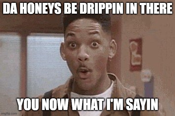Will Smith Fresh Prince Oooh | DA HONEYS BE DRIPPIN IN THERE; YOU NOW WHAT I'M SAYIN | image tagged in will smith fresh prince oooh | made w/ Imgflip meme maker
