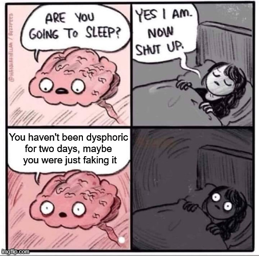 When you feel alright and start thinking maybe you're not trans | You haven't been dysphoric 
for two days, maybe 
you were just faking it | image tagged in insomnia brain can't sleep blank,trans,gender | made w/ Imgflip meme maker