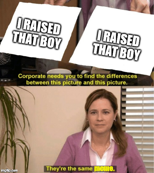 They’re the same thing | I RAISED THAT BOY I RAISED THAT BOY meme. | image tagged in theyre the same thing | made w/ Imgflip meme maker