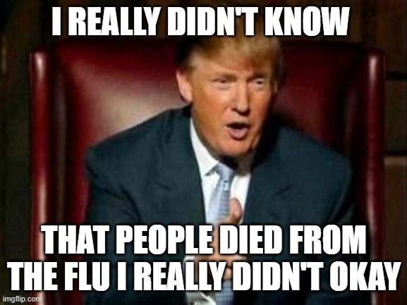 Donald Trump | I REALLY DIDN'T KNOW; THAT PEOPLE DIED FROM THE FLU I REALLY DIDN'T OKAY | image tagged in donald trump | made w/ Imgflip meme maker