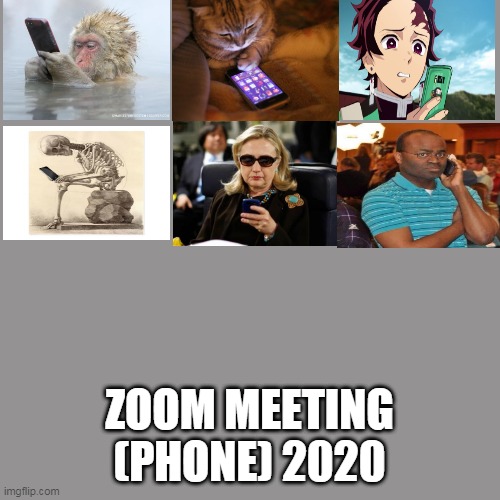 zoom (phone) | ZOOM MEETING (PHONE) 2020 | image tagged in memes,blank transparent square | made w/ Imgflip meme maker