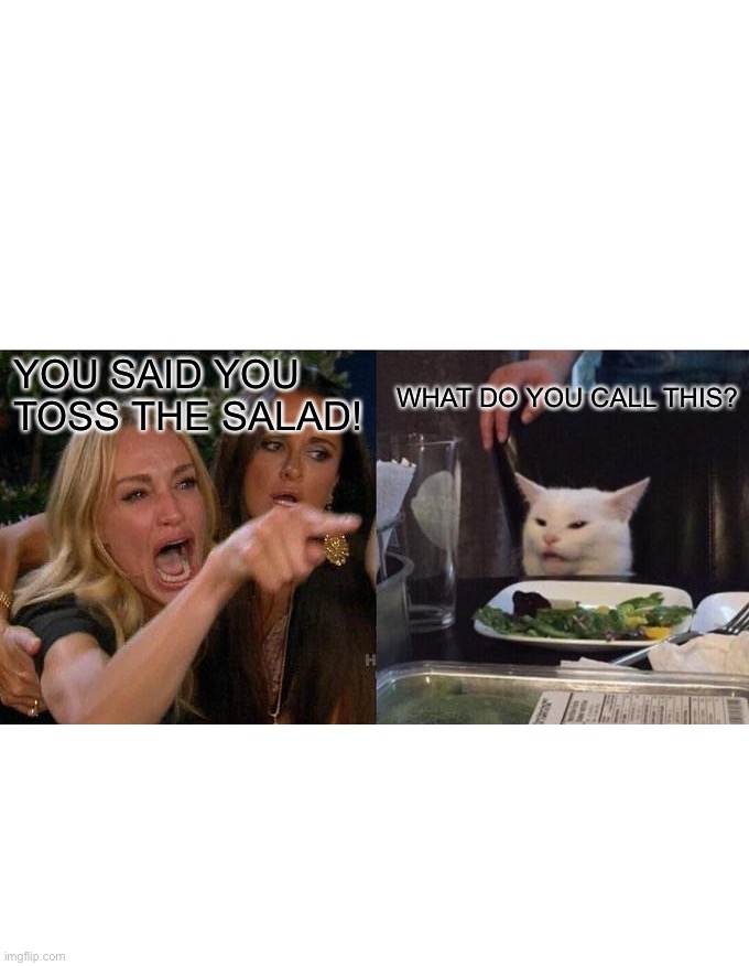 Toss salad | YOU SAID YOU TOSS THE SALAD! WHAT DO YOU CALL THIS? | image tagged in memes,woman yelling at cat | made w/ Imgflip meme maker