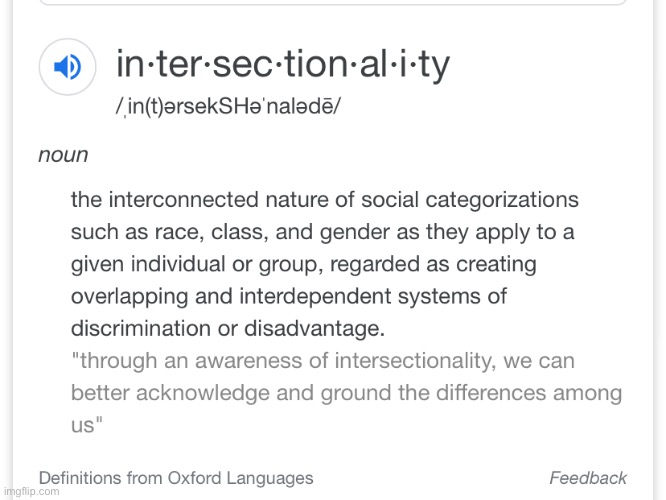 Intersectionality definition | image tagged in intersectionality definition | made w/ Imgflip meme maker