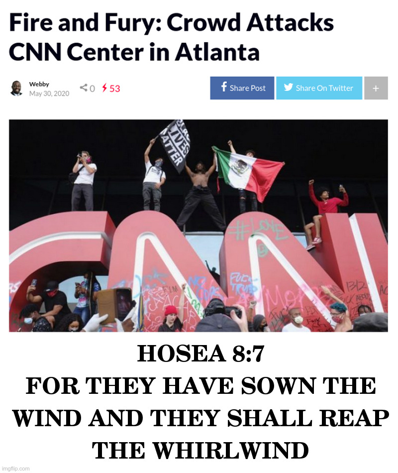 For They Have Sown The Wind | image tagged in cnn,mainstream media,fake news,black lives matter,illegal immigration,wait thats illegal | made w/ Imgflip meme maker