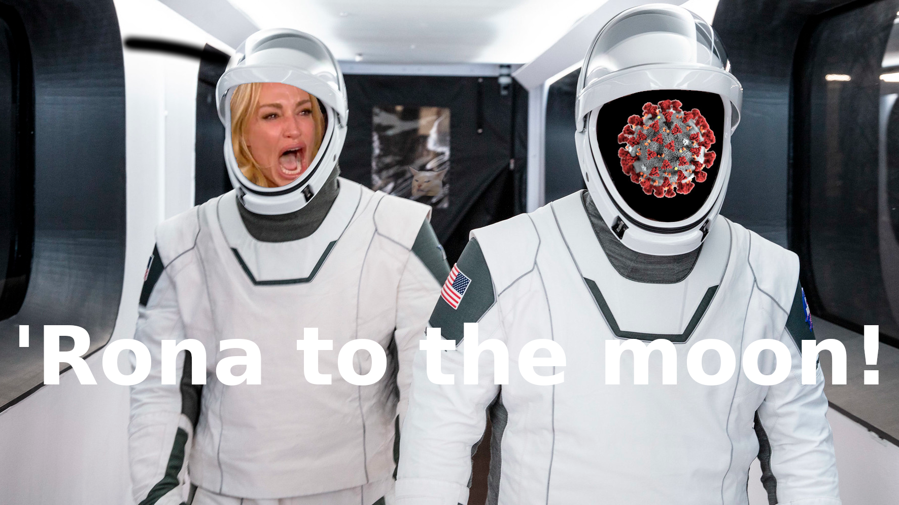 spaceCOVID Blank Meme Template