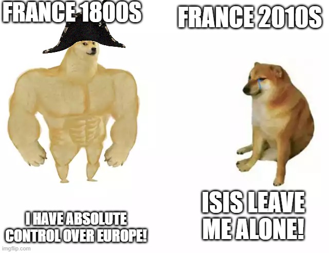France then vs now | FRANCE 1800S; FRANCE 2010S; I HAVE ABSOLUTE CONTROL OVER EUROPE! ISIS LEAVE ME ALONE! | image tagged in buff doge vs cheems,france | made w/ Imgflip meme maker