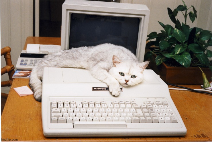 Computer Cat | image tagged in computer cat | made w/ Imgflip meme maker