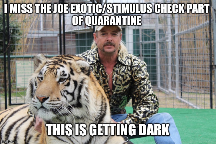 Joe exotic | I MISS THE JOE EXOTIC/STIMULUS CHECK PART 
OF QUARANTINE; THIS IS GETTING DARK | image tagged in joe exotic,stimulus | made w/ Imgflip meme maker