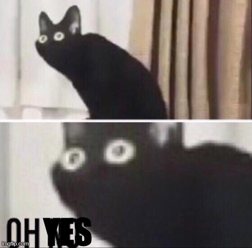 Oh no cat | YES | image tagged in oh no cat | made w/ Imgflip meme maker