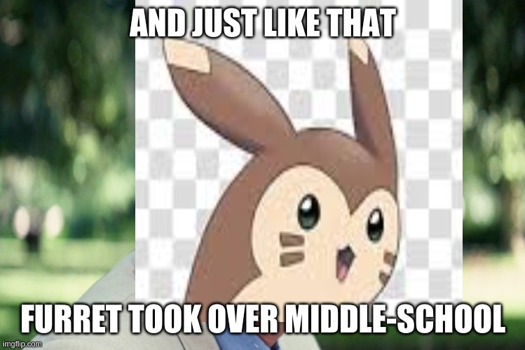 AND JUST LIKE THAT; FURRET TOOK OVER MIDDLE-SCHOOL | image tagged in furret | made w/ Imgflip meme maker