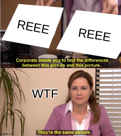 They're The Same Picture Meme | REEE; REEE; WTF | image tagged in memes,they're the same picture | made w/ Imgflip meme maker
