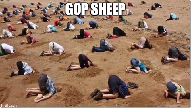 Head in sand | GOP SHEEP | image tagged in head in sand | made w/ Imgflip meme maker