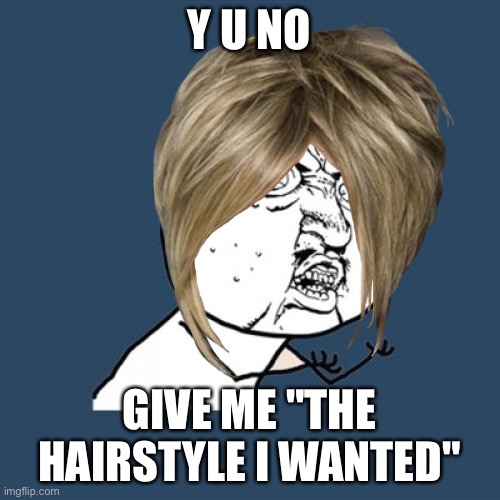 :/ | Y U NO; GIVE ME "THE HAIRSTYLE I WANTED" | made w/ Imgflip meme maker
