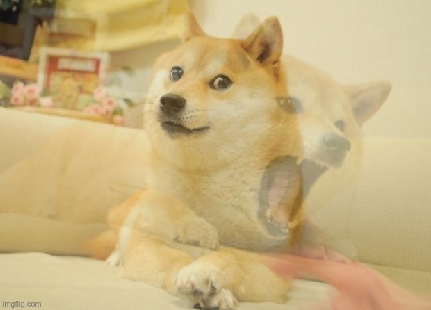 Doge mad and calm | image tagged in doge mad and calm | made w/ Imgflip meme maker