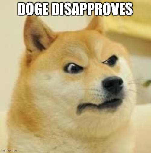 angry doge | DOGE DISAPPROVES | image tagged in angry doge | made w/ Imgflip meme maker