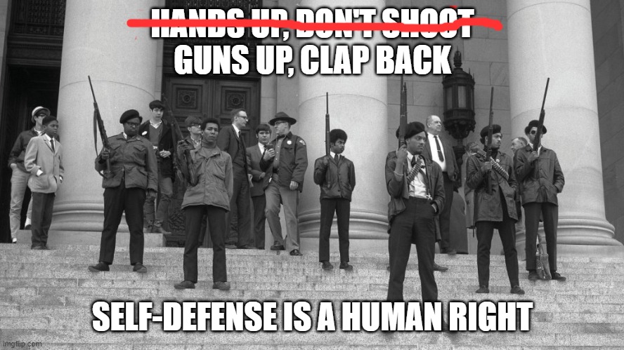 Self-defense is a human right | HANDS UP, DON'T SHOOT
GUNS UP, CLAP BACK; SELF-DEFENSE IS A HUMAN RIGHT | image tagged in protest,2nd amendment,self-defense | made w/ Imgflip meme maker