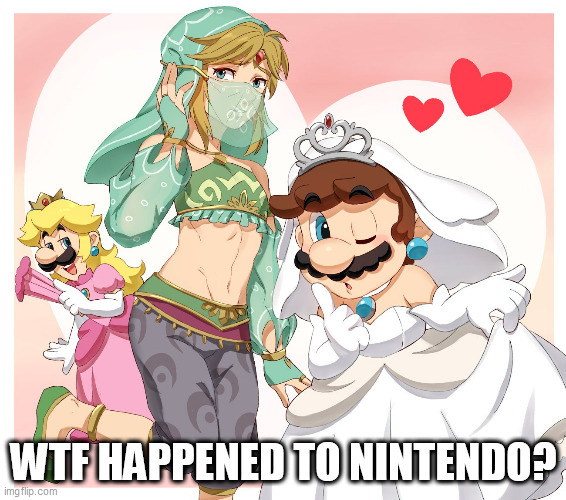 seems like the liberals got to them | WTF HAPPENED TO NINTENDO? | image tagged in mario,nintendo,feminism | made w/ Imgflip meme maker