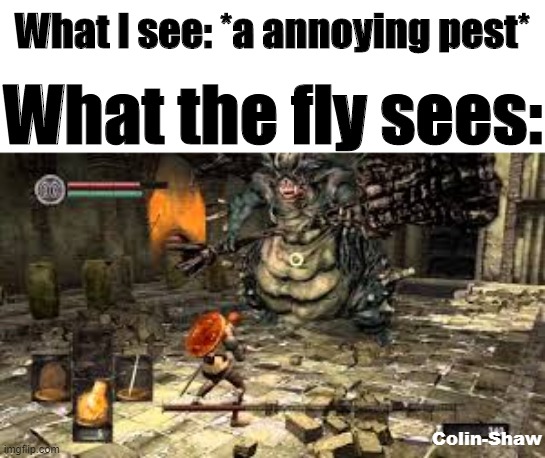 Fly Dark Souls | What I see: *a annoying pest*; What the fly sees:; Colin-Shaw | image tagged in dark souls,gaming,fly | made w/ Imgflip meme maker