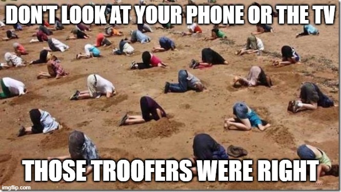 Head in sand | DON'T LOOK AT YOUR PHONE OR THE TV; THOSE TROOFERS WERE RIGHT | image tagged in head in sand | made w/ Imgflip meme maker