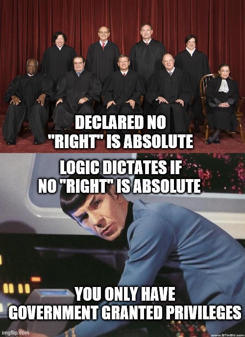 DECLARED NO "RIGHT" IS ABSOLUTE; LOGIC DICTATES IF NO "RIGHT" IS ABSOLUTE; YOU ONLY HAVE GOVERNMENT GRANTED PRIVILEGES | image tagged in spock,scotus | made w/ Imgflip meme maker