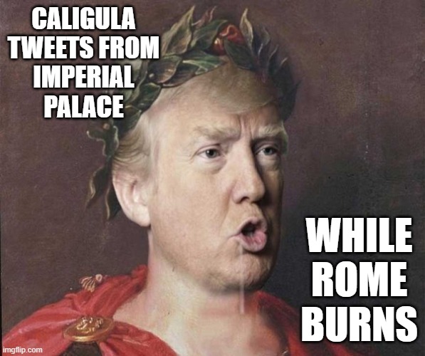 While Rome Burns | CALIGULA TWEETS FROM IMPERIAL PALACE; WHILE ROME BURNS | image tagged in roman trump,memes,trump,failure | made w/ Imgflip meme maker